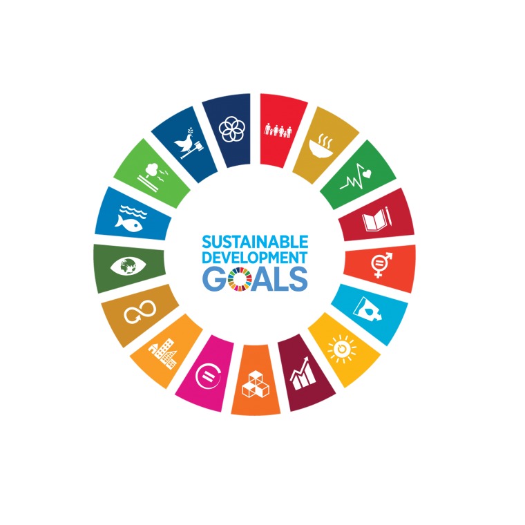 UN SDG