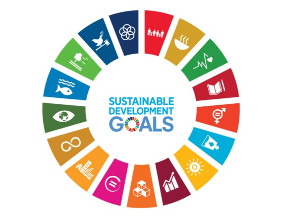 UN SDG